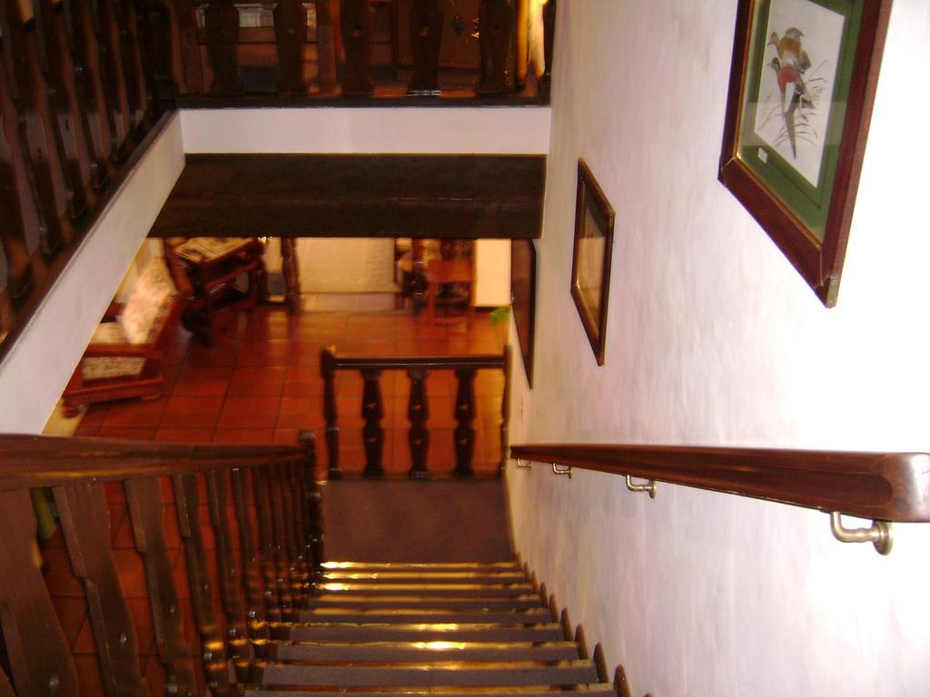 Hosteria La Masia San Martín de los Andes Dış mekan fotoğraf